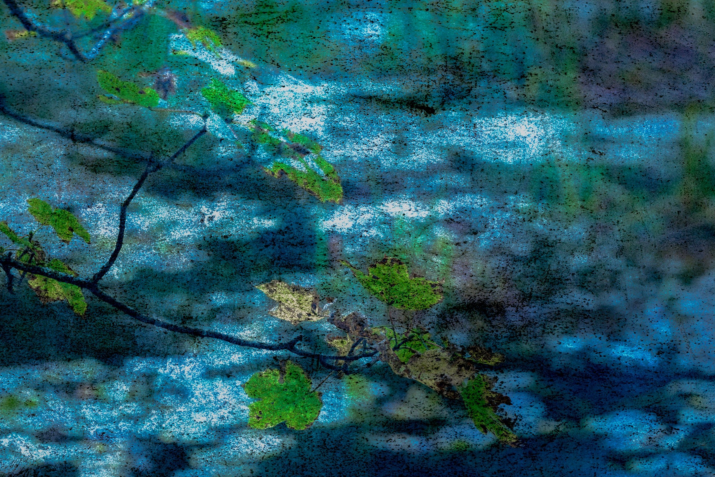 Artistic photography of a pond with branches with green leaves over a blue surface