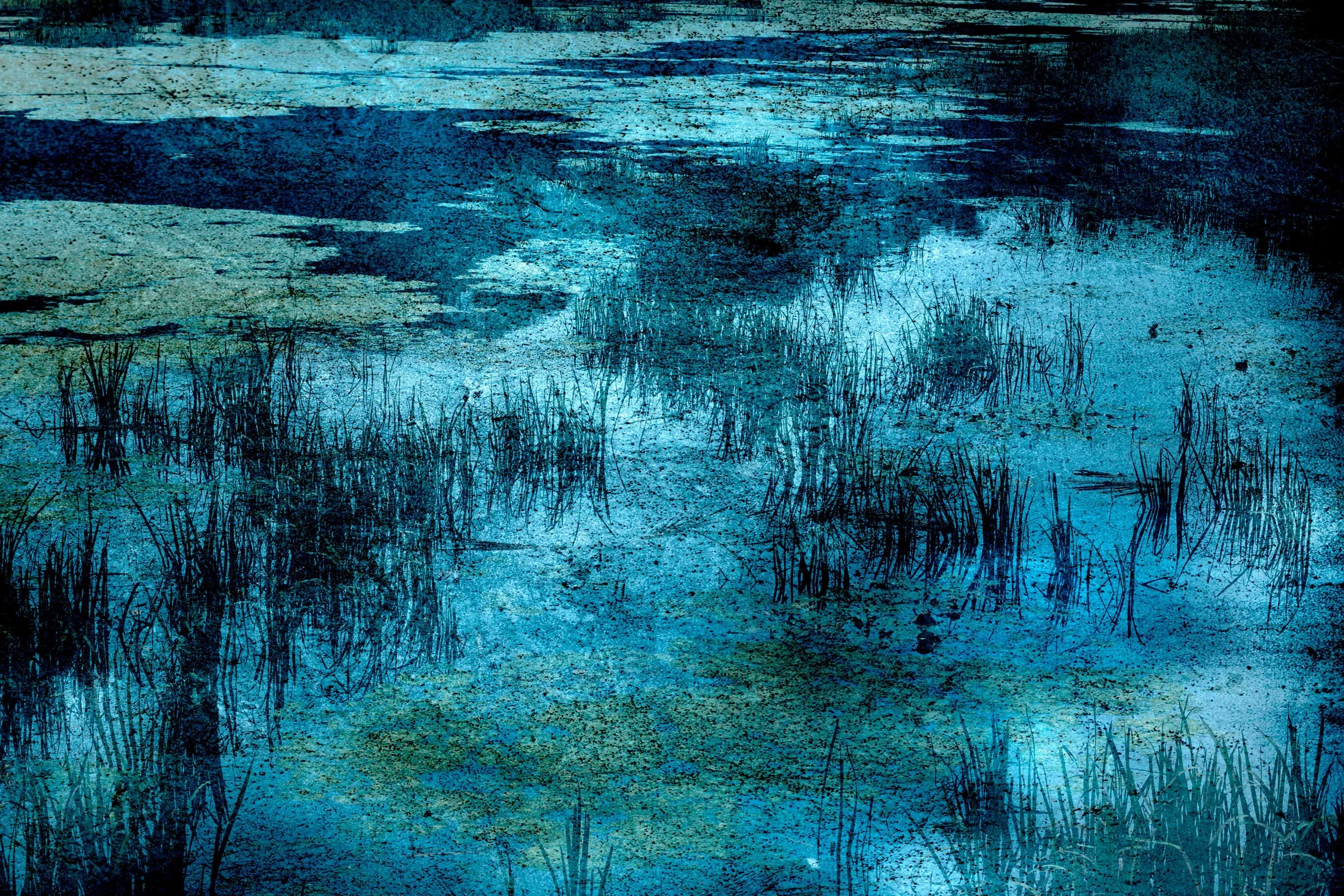A moody, artistic depiction of a water body with lily pads and tall grasses, rendered in shades of blue and green with a textured, painted effect.
