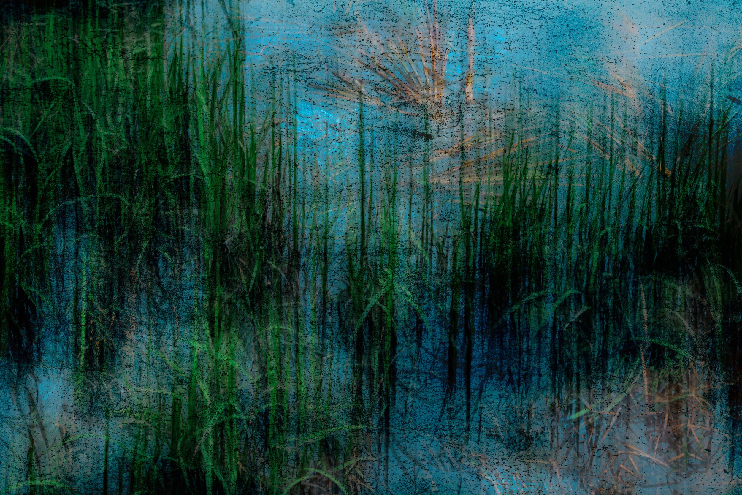 A creative photography of a swamp with green reeds and trees reflecting in the water, with a cloudy sky.