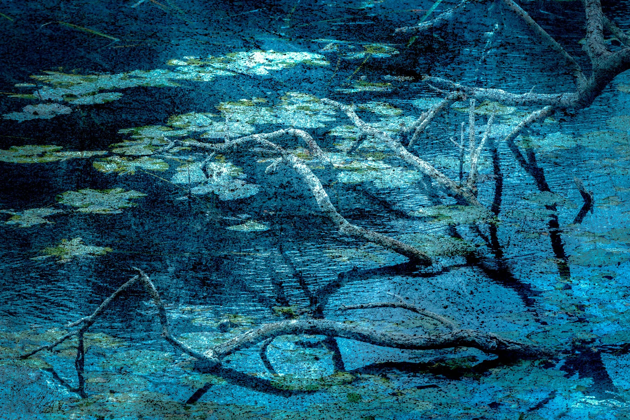 A dark image depicting a twisted, fallen tree branch submerged in water with lily pads floating around it, viewed from above.