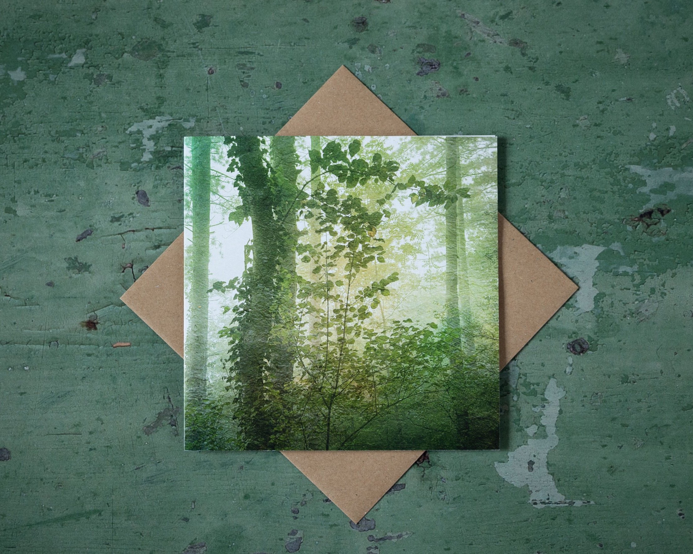 card+website-19.jpg