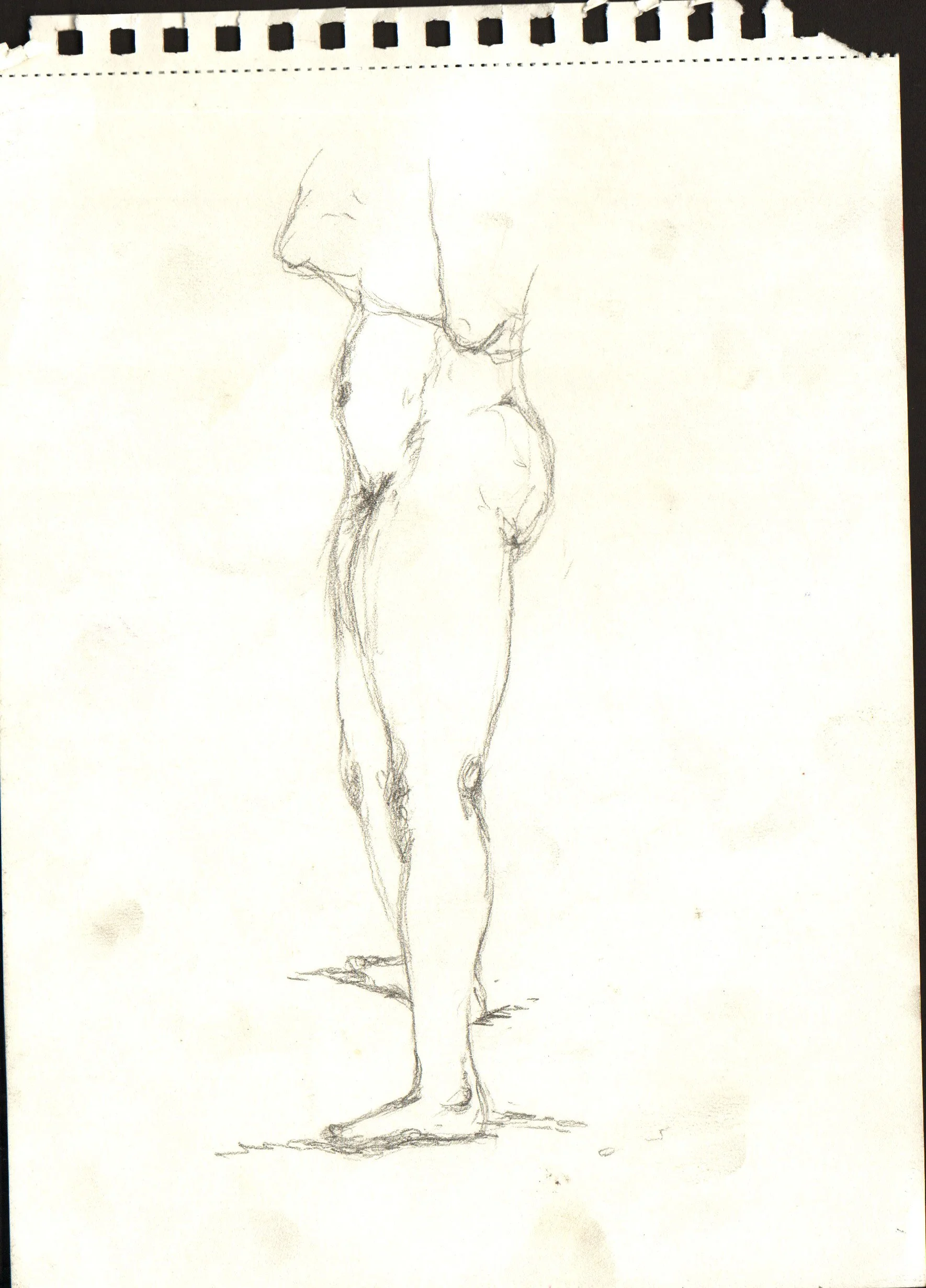 MDS00063.jpg