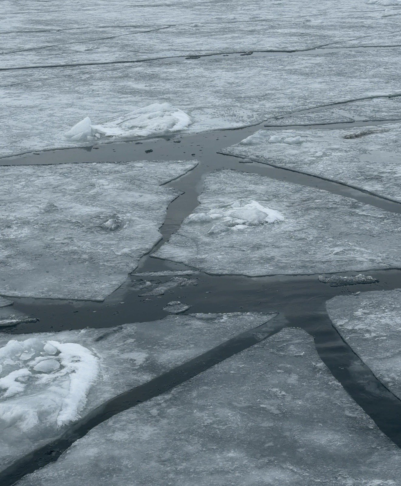 Arctic summer sea ice: Is the picture more complex than we think?