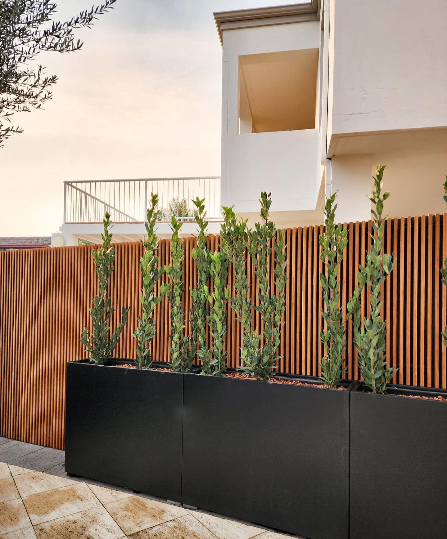 Bamboo fence screening will take your landscaping to the next level 😮&zwj;💨🔥

Pretreated with 3 coats of @wocaaustralia premium protective outdoor timber oil, our screens are ready to take on the weather.

We have certified installers to get your 