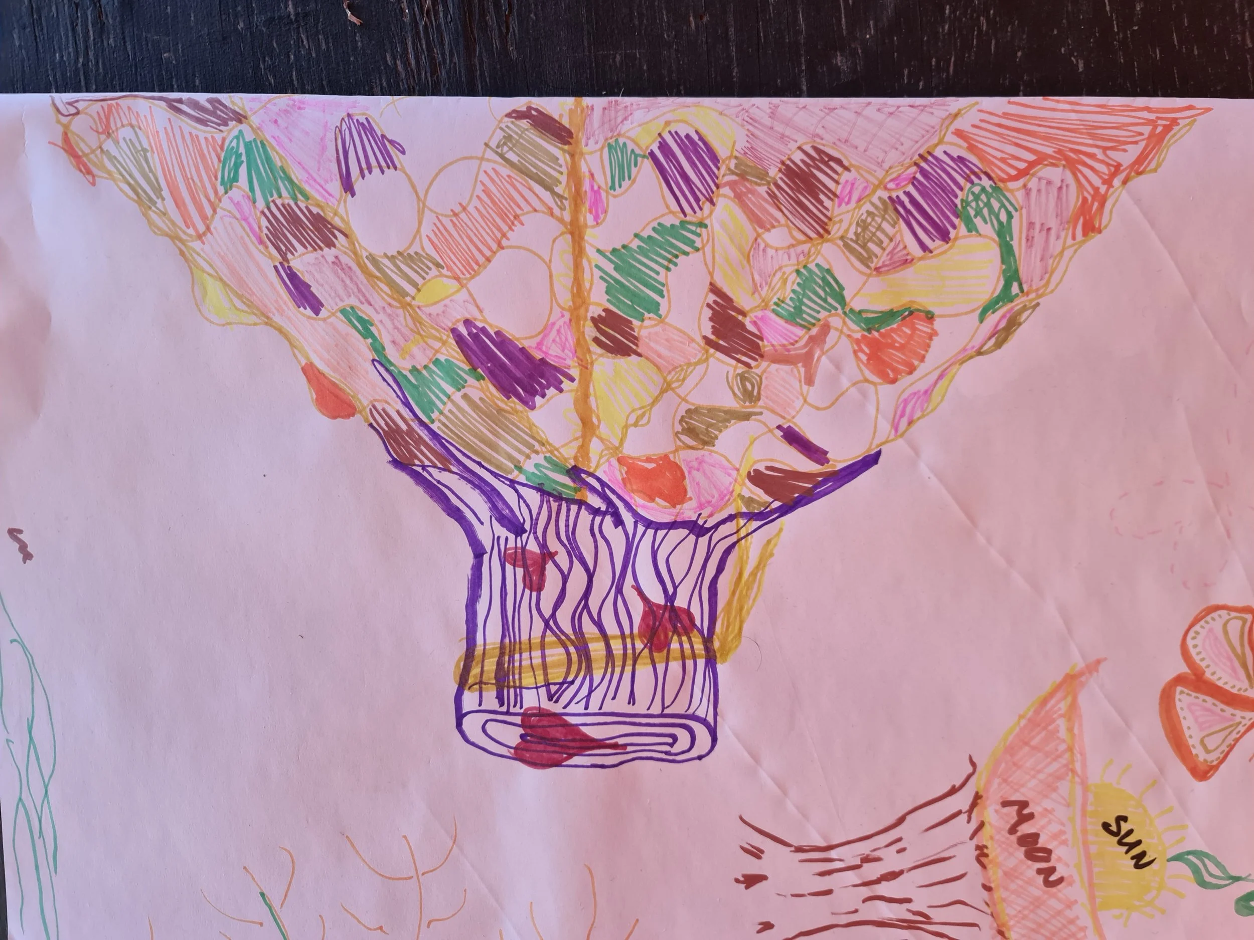 20250824_170457.jpg