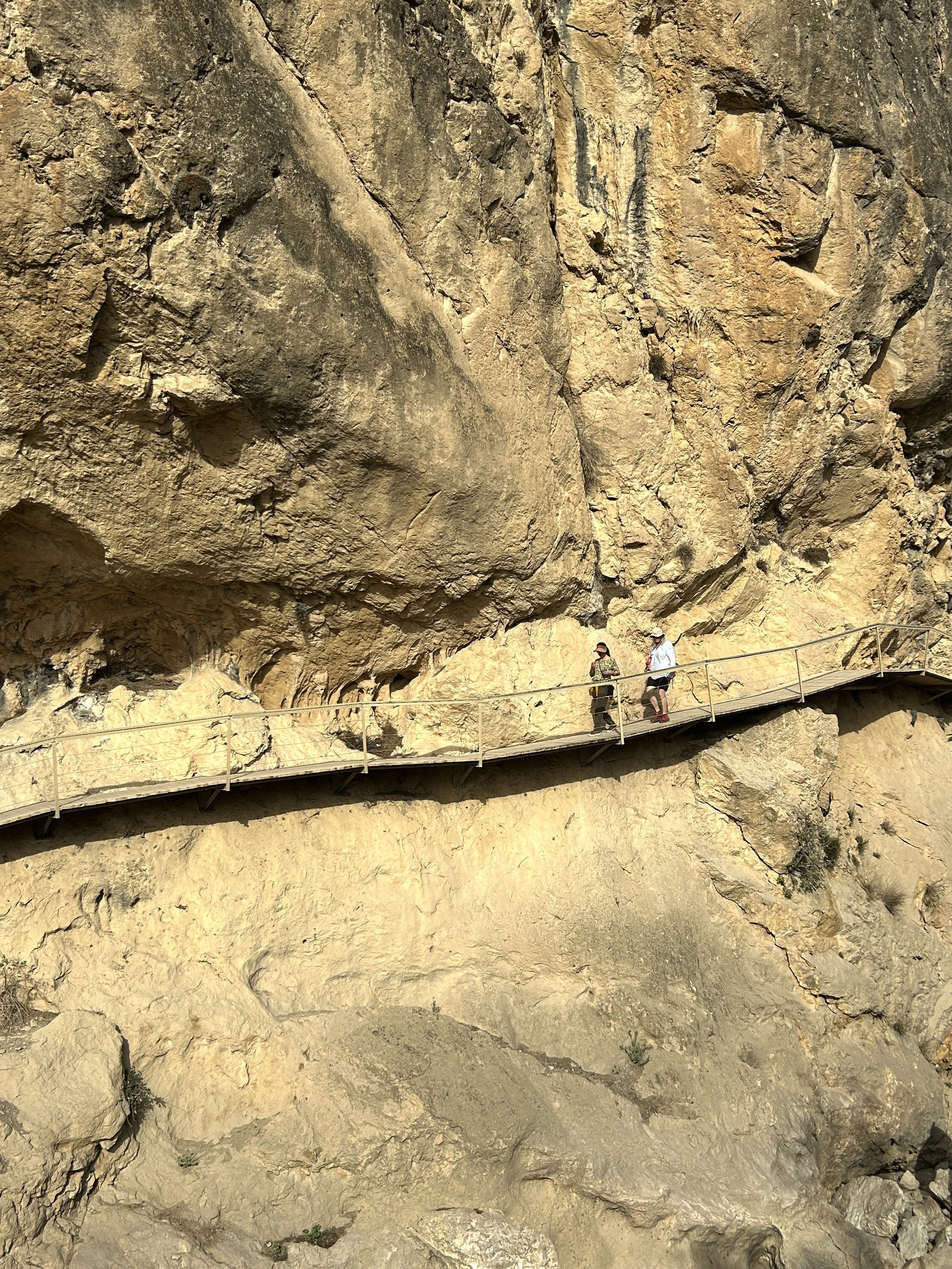 La Ruta Del Gollizno