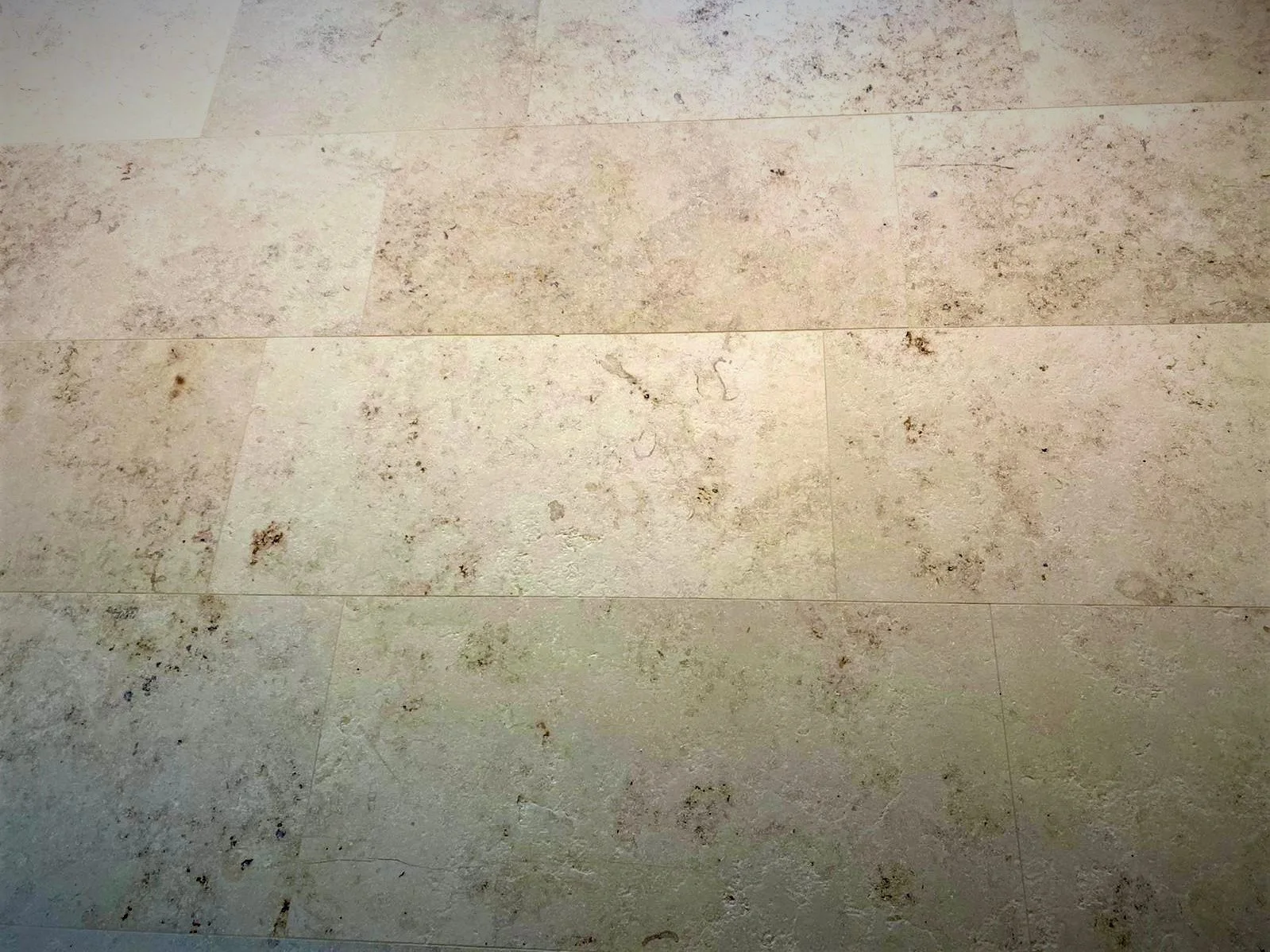 be133e68-0c6a-4f25-8ba7-dd01955cfdc8 (2).JPG