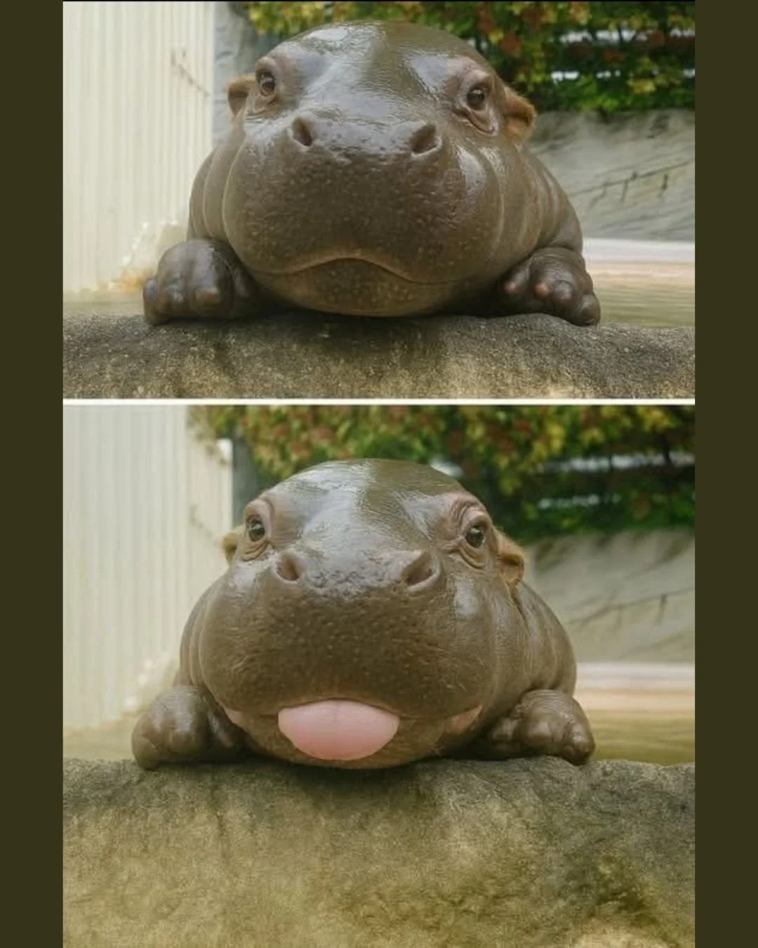 SMILE!