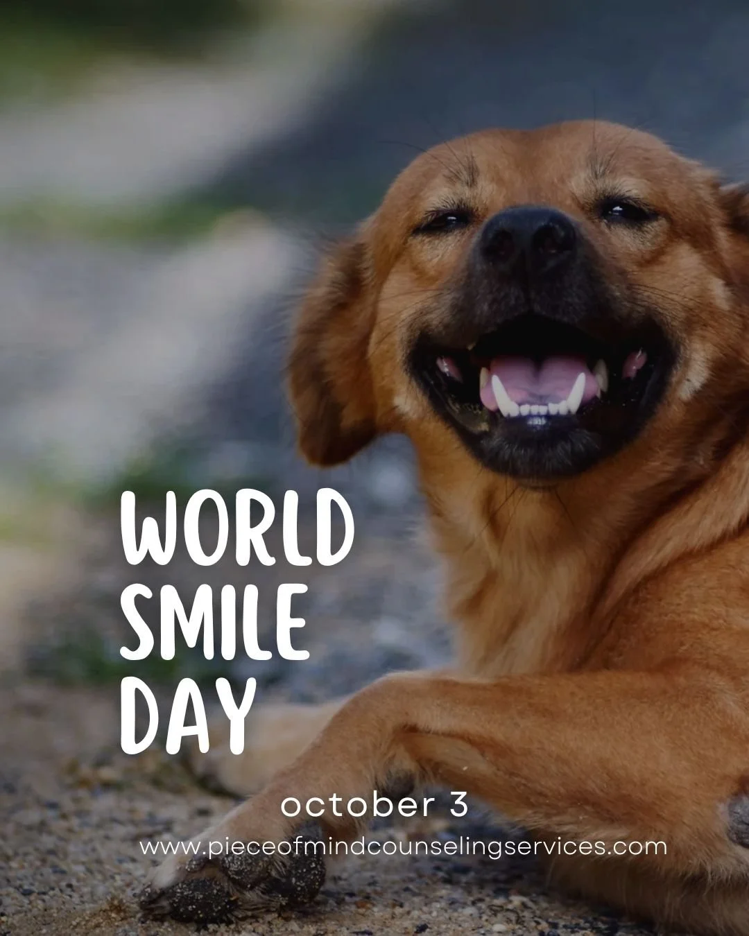 🌍😀 World Smile Day

✨ Today is World Smile Day &ndash; a reminder that even the smallest act of kindness can ripple out and brighten someone&rsquo;s world. ✨

Mental health isn&rsquo;t just about the big breakthroughs&mdash;it&rsquo;s also built on