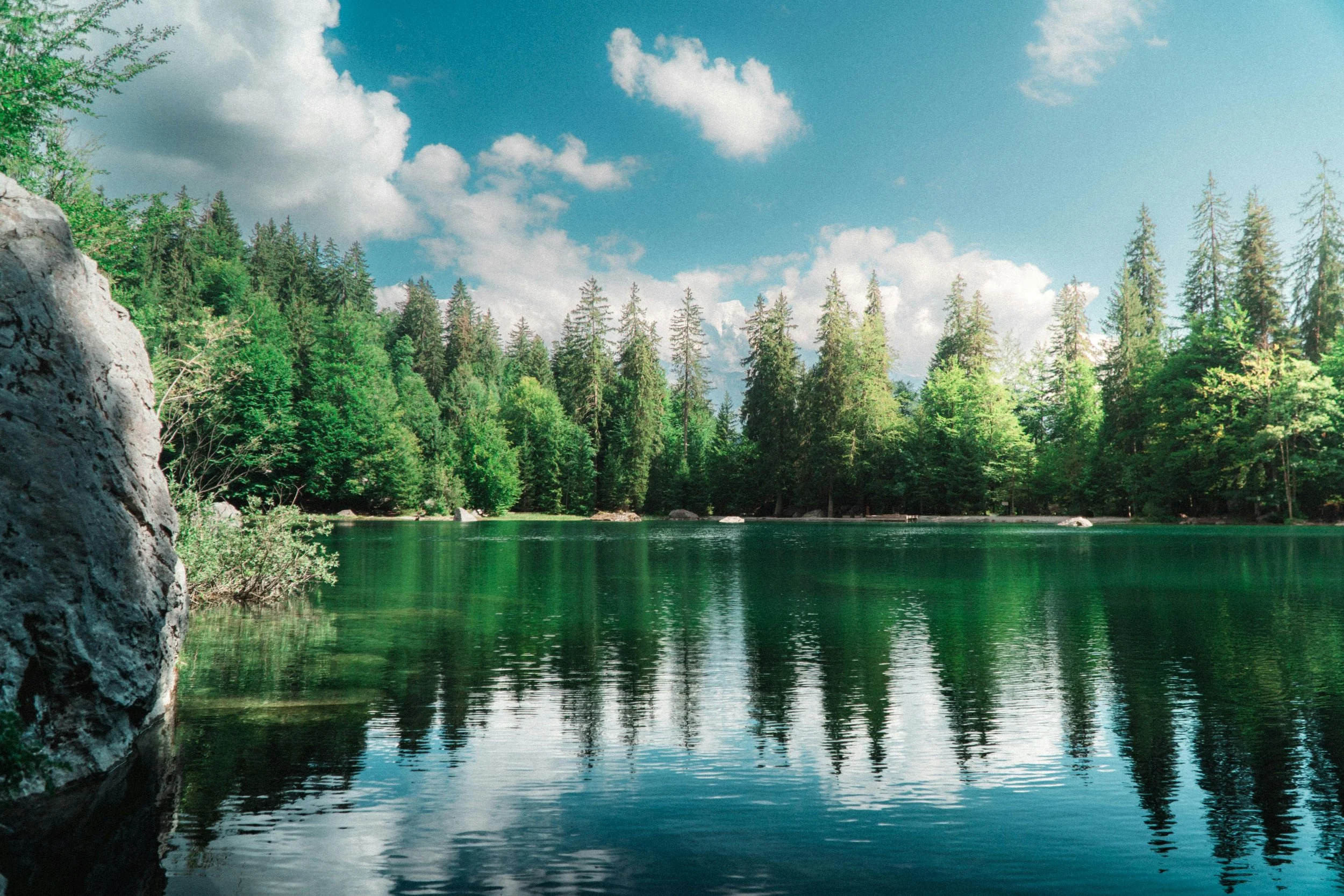 How Nature Boosts Mental Health and Positivity