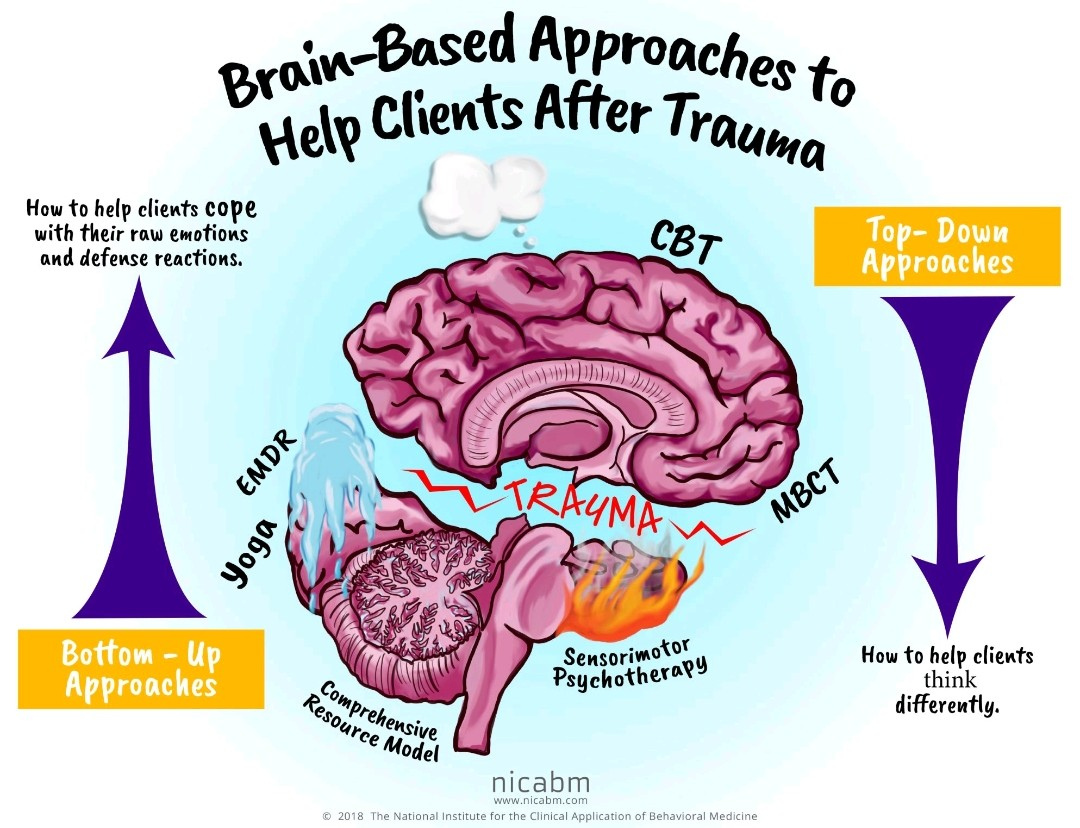 Top-Down vs. Bottom-Up Approaches to Therapy: Finding What Works Best