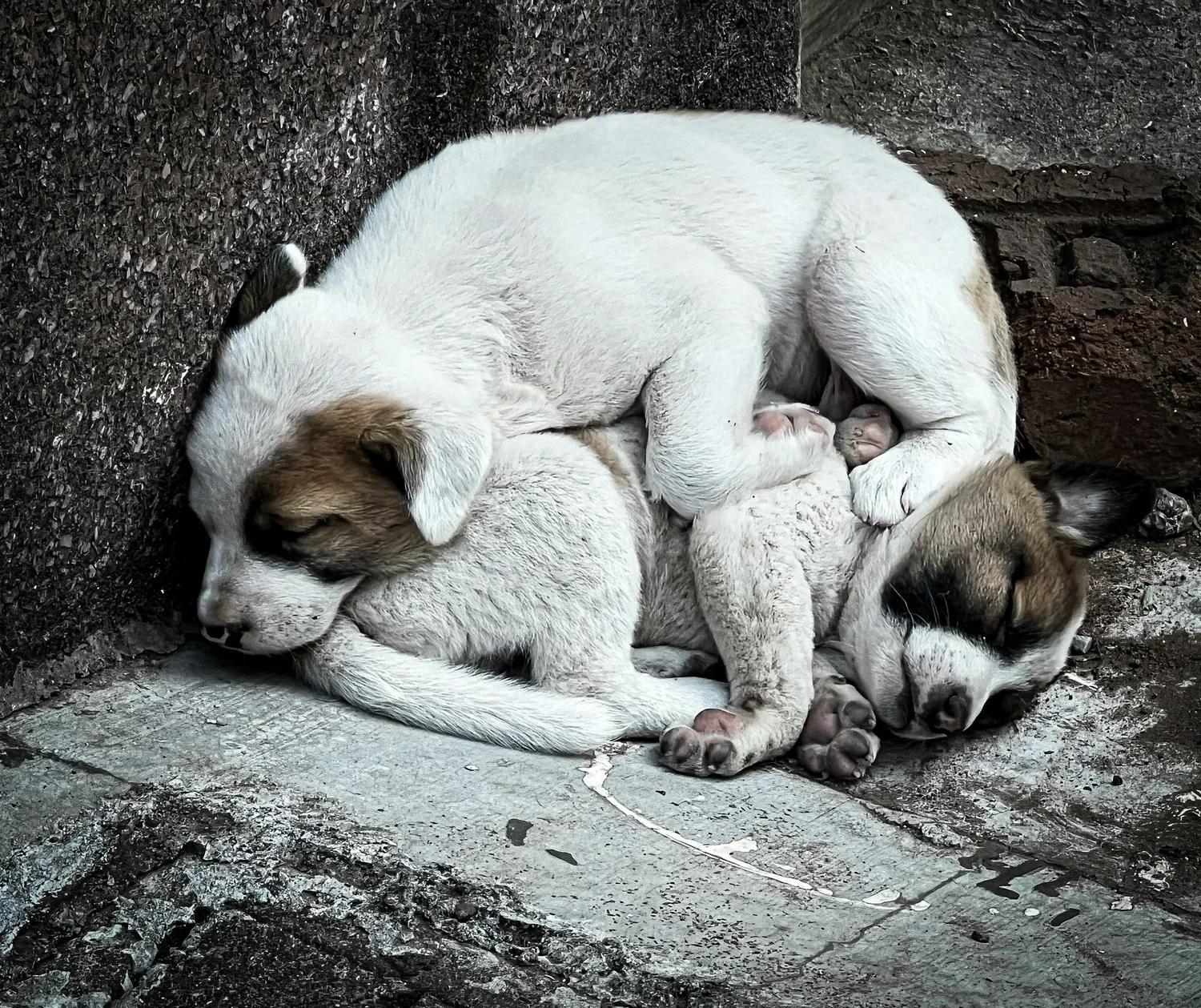 Why Sleep Might Be the Most Underrated Mental Health Tool You Have