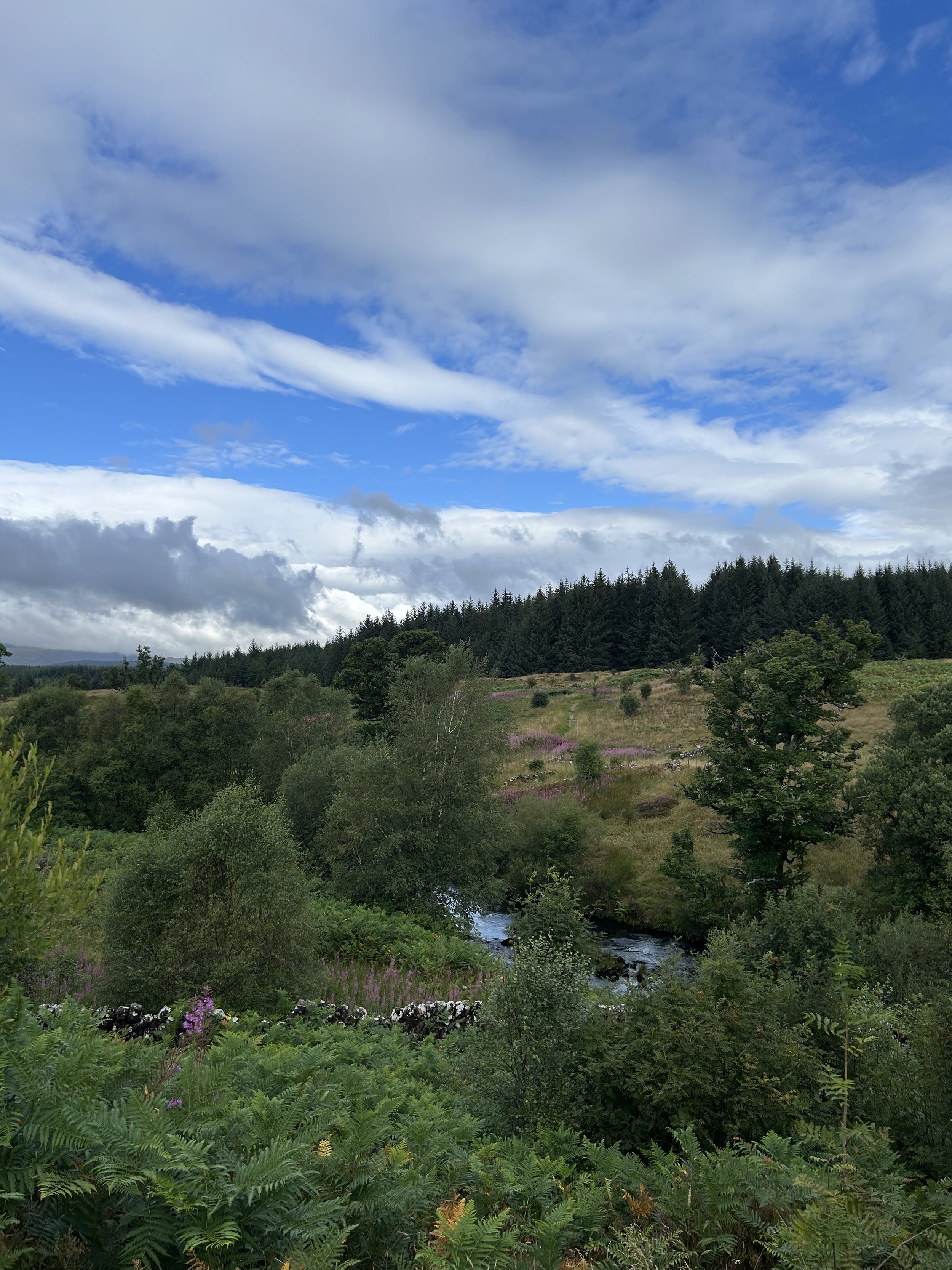 Polmaddy - 6/8/26 W