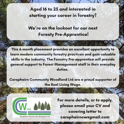 Forestry Pre-apprentice Placement