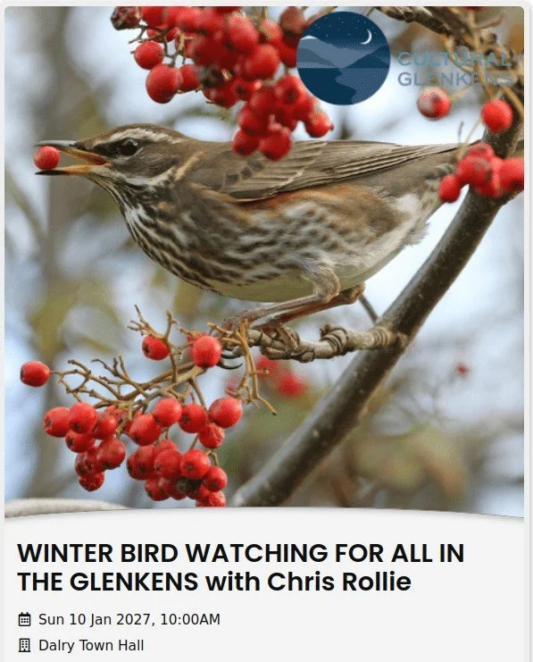 Cultural Glenkens - Winter Birdwatchign for All