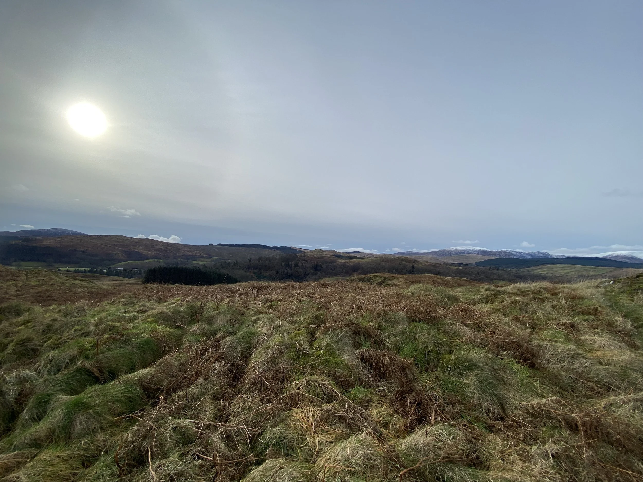 Waterside Hill - 14/2/26 NE