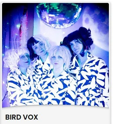 Birdvox