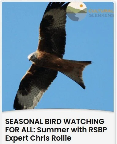 Seasonal Bird Watching - Summer