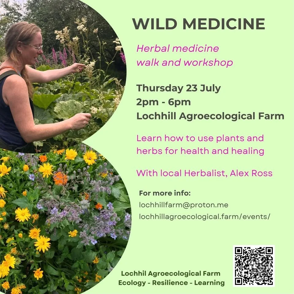 Wild Medicine walk and workshop