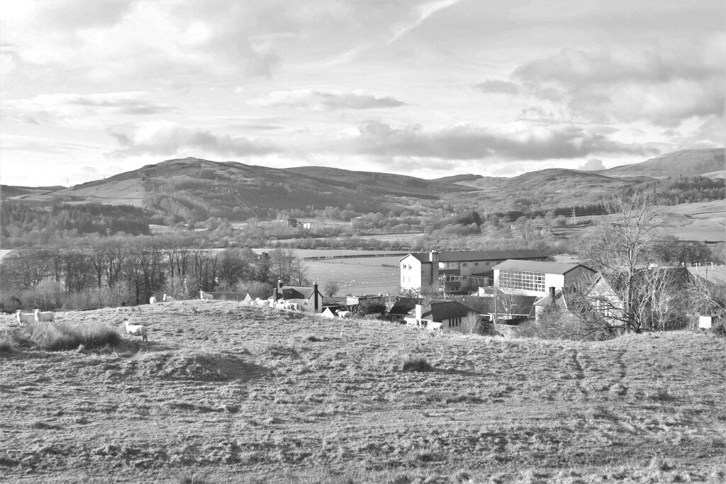 Call for Dumfries and Galloway Council to delay decision to mothball Dalry Secondary School