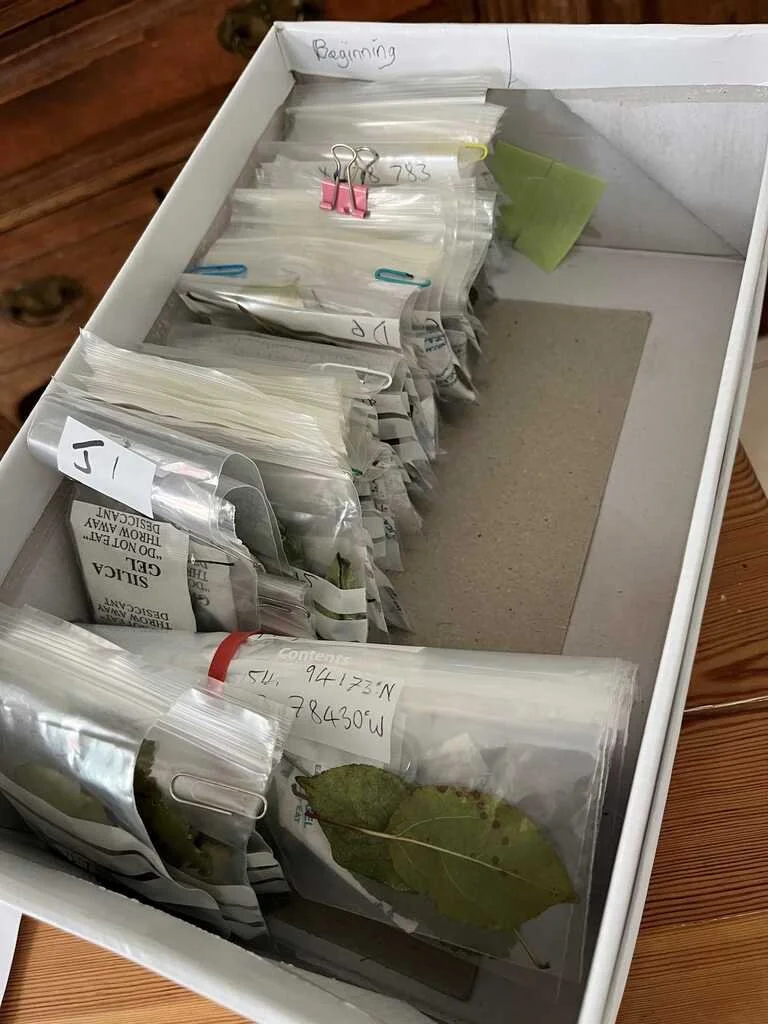 gathering_samples.jpg