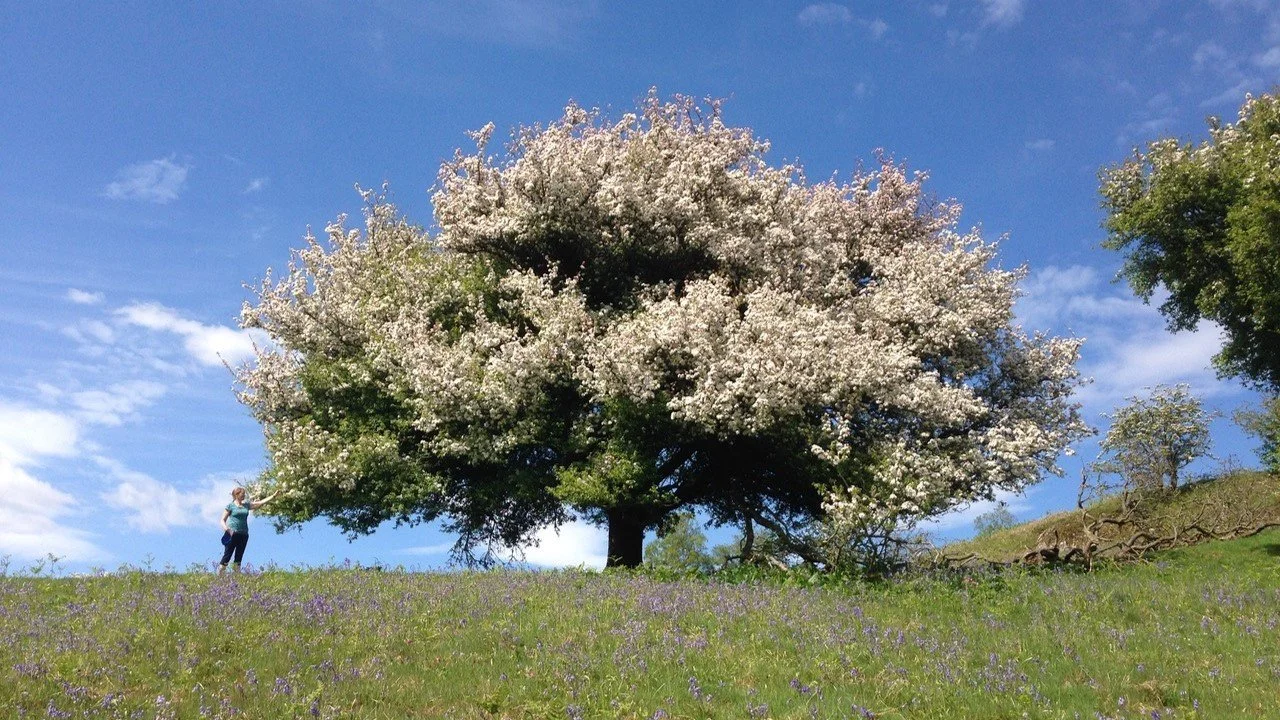Picture2.jpg