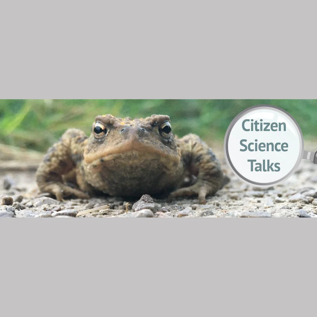 How healthy are our waterways across the Glenkens? Take part in a citizen science activity to find out for yourself!