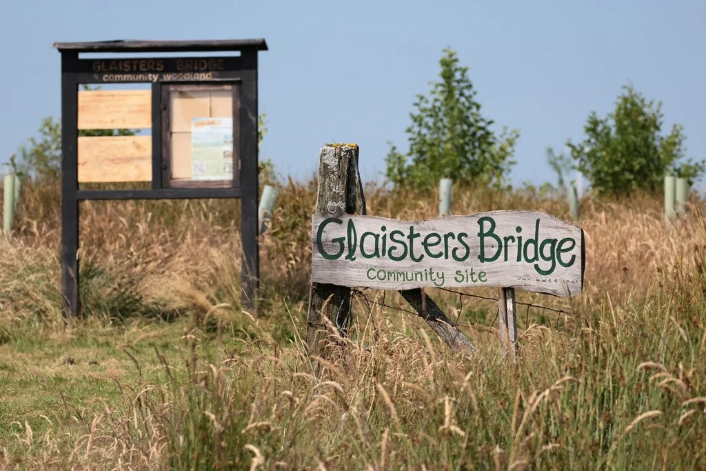 Partnership funding success for Glaisters Bridge Community Woodland