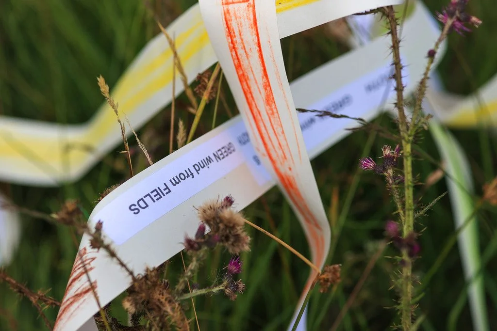 Poetry streamers in the grass