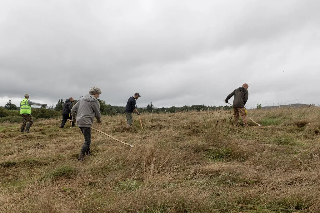 (s)Scything_at_Glaister's_Bridge_MBP_4887.jpg