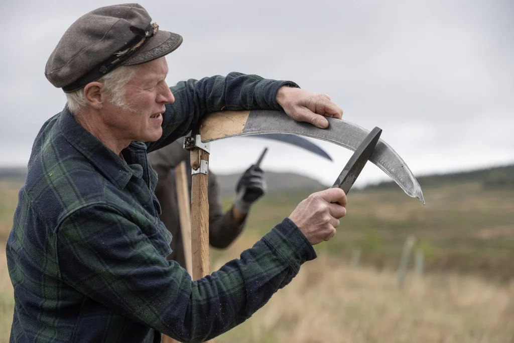 Skills were sharpened at Glaisters Bridge Community Woodland’s Scything Events