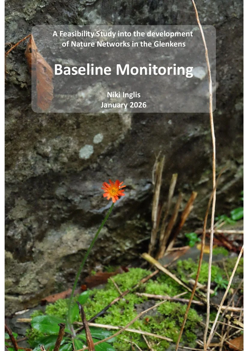 Baseline monitoring of the development of Nature Networks in the Glenkens