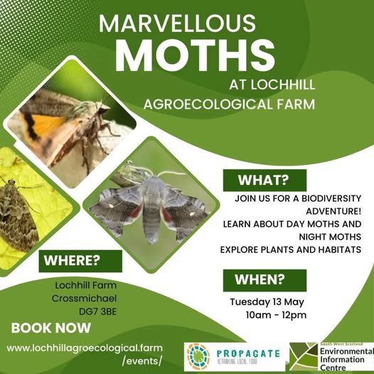 Marvellous Moths at Lochhill Farm