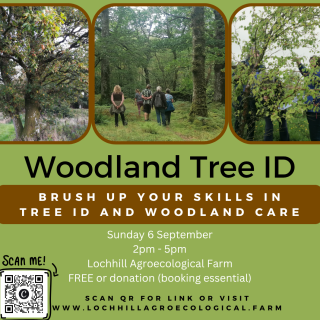 Lochhill Woodland Tree ID