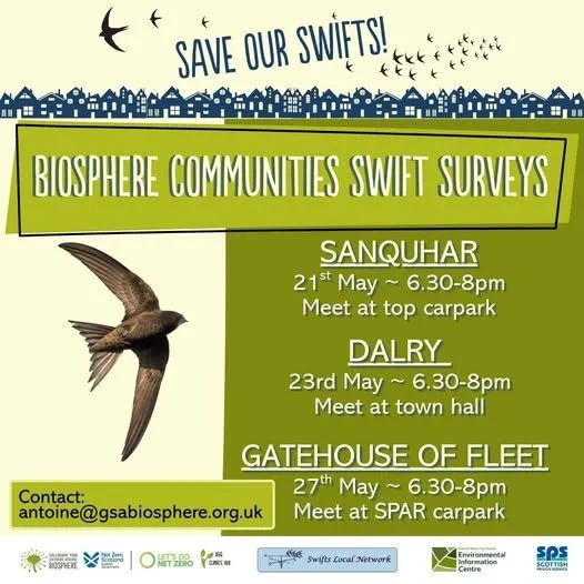 Swift Surveys