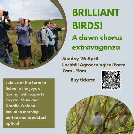 Brilliant Birds at Lochhill Farm