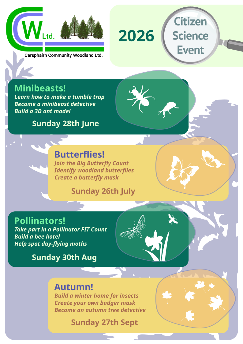 Carsphairn Woodland Nature Activities 2026