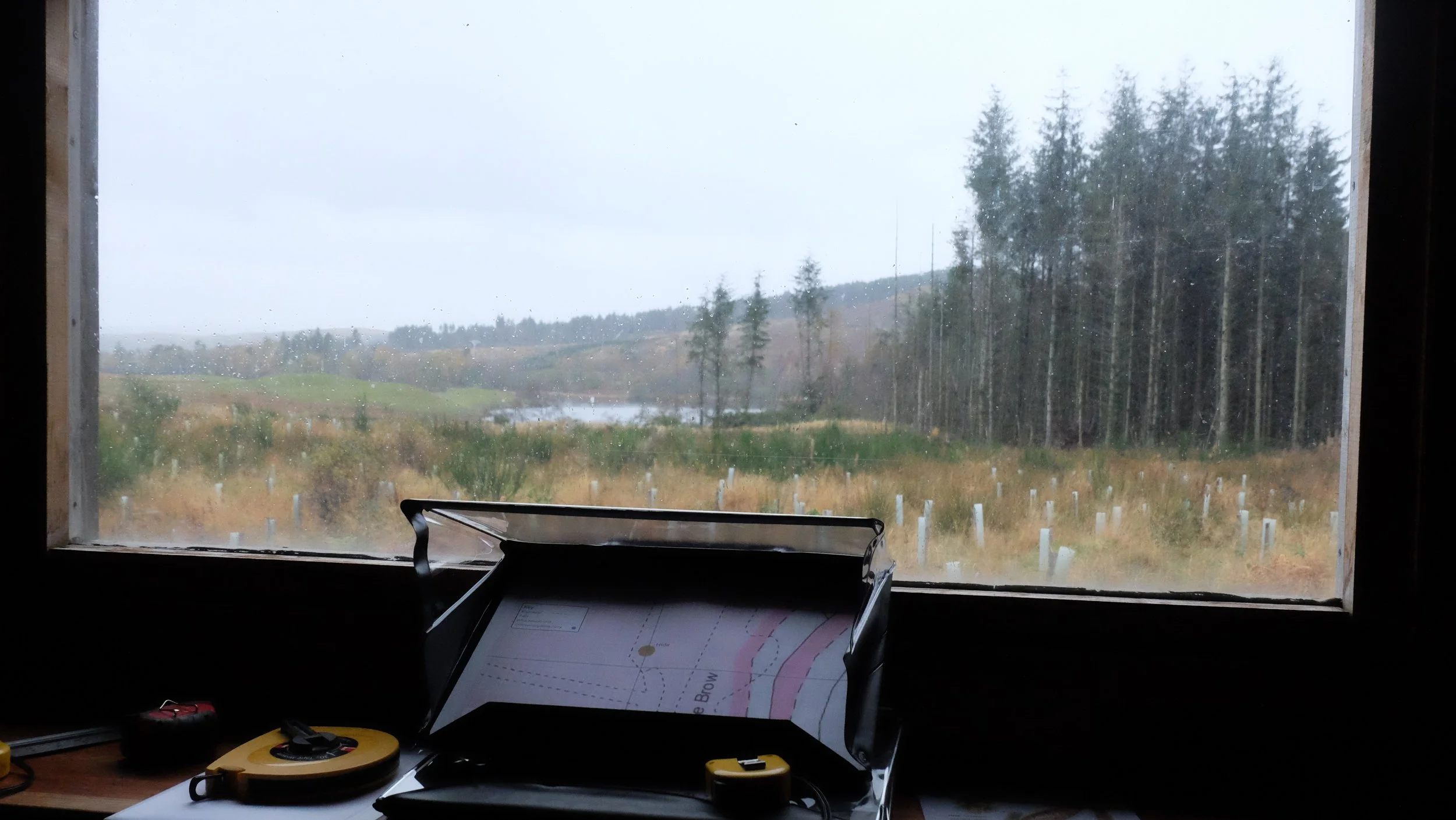 Carsphairn Community Woodland Hide - 26/10/25 SW