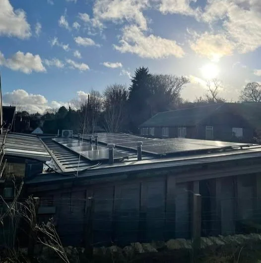 The CatStrand goes carbon neutral
