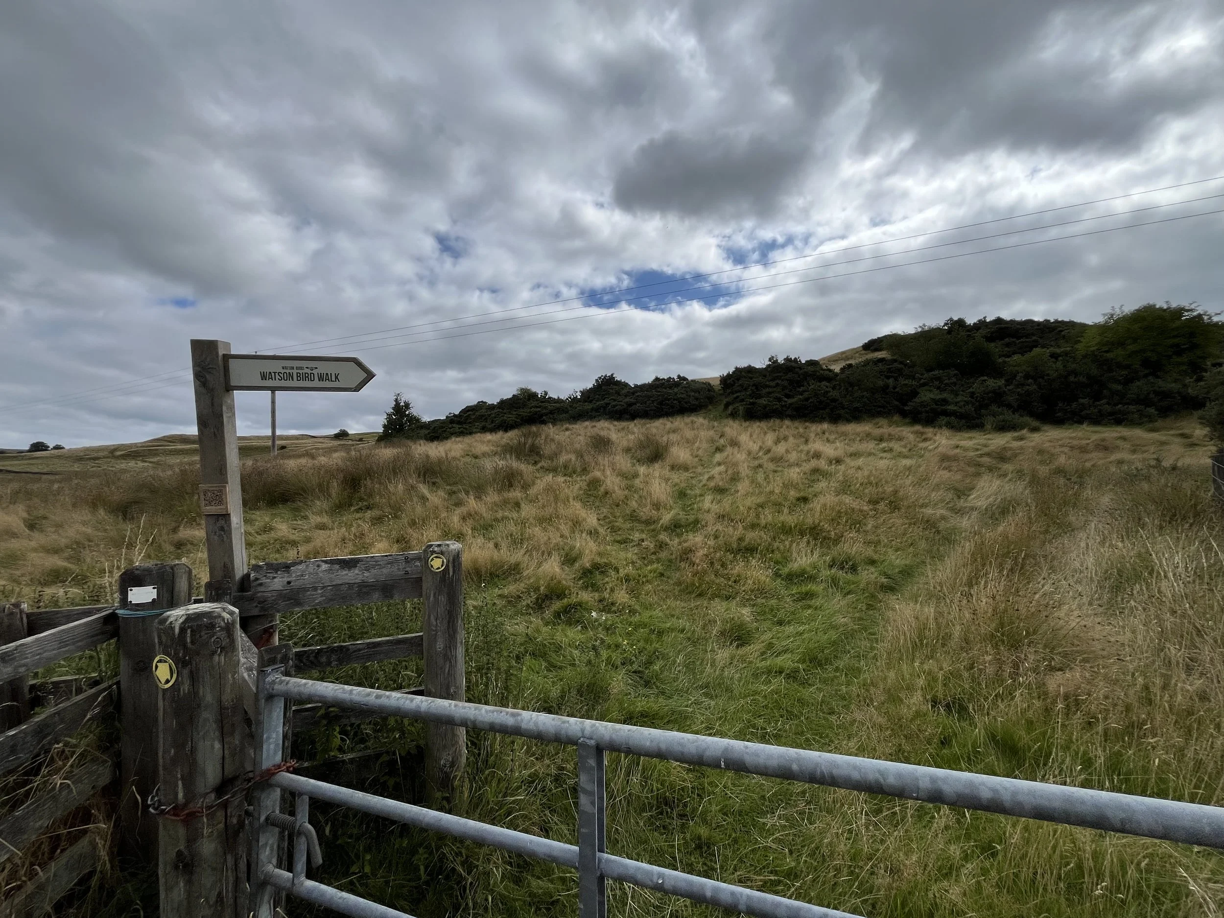The Mulloch 23/8/26 E
