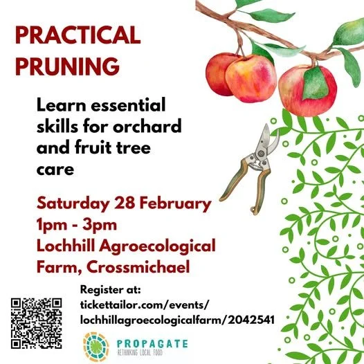 Practical Pruning