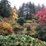 Experienced Gardener