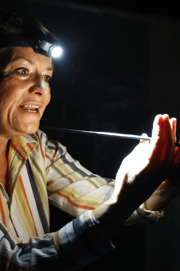 Lightning Ridge - Catherine Wheels