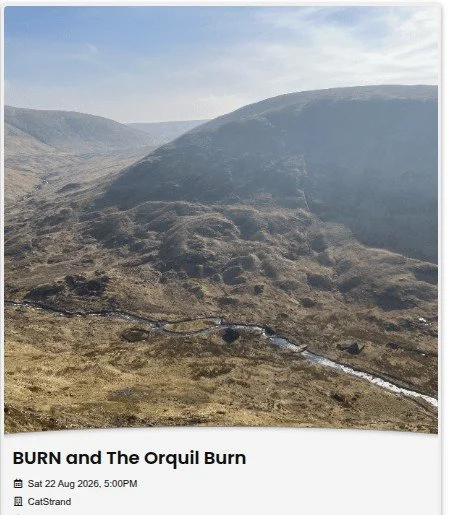 Burn and the Orquil Burn