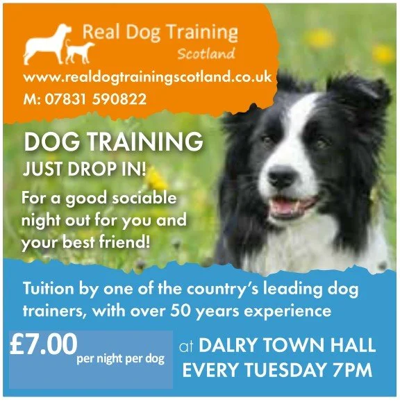 Real Dog Training