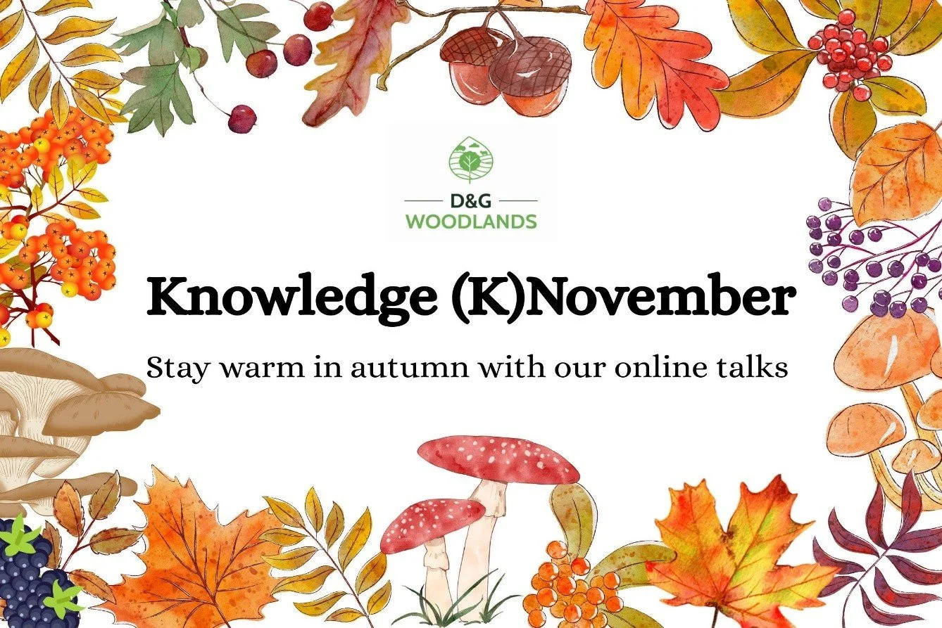 Knowledge (K)November is coming!