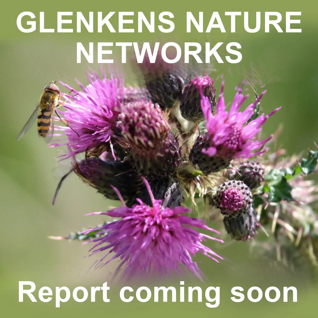 Establishing Nature Networks in the Glenkens