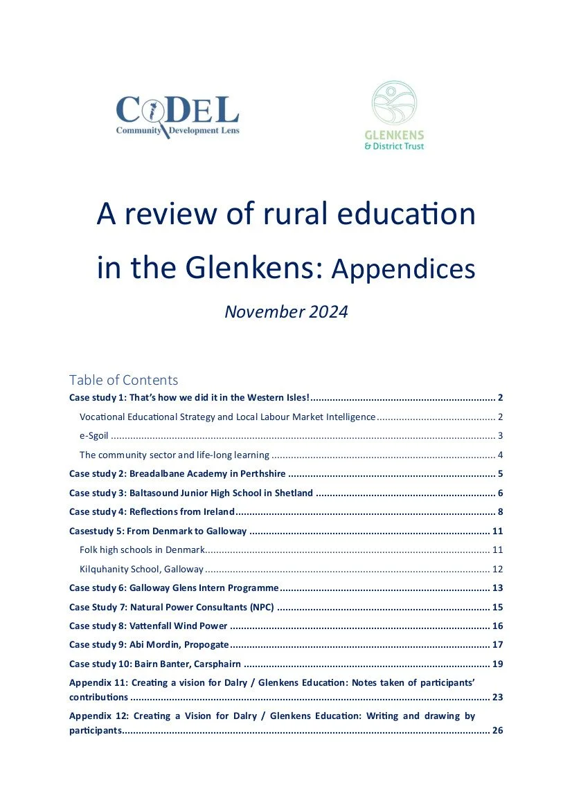 Cover - Appendices to report