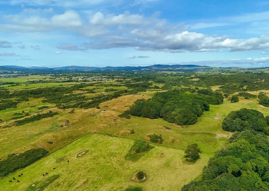 Woodland Connectivity focus for this year’s Dumfries &amp; Galloway Tree Planting Grant Scheme
