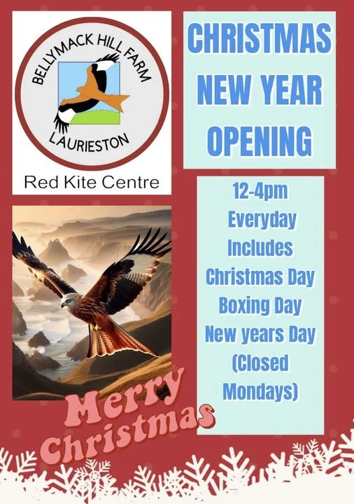 Bellymack Red Kites Festive Opening Times